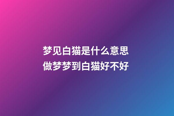 梦见白猫是什么意思 做梦梦到白猫好不好